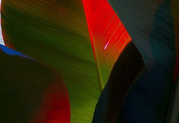 update-blog3 update-blog3